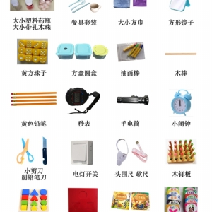 BSID貝利嬰幼兒發展量表Bayley工具箱包